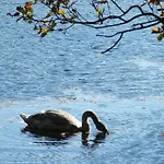 Διαμέρισμα 